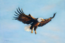 Soaring with Pride, pastel by Cynthia Streit Mazzaferro